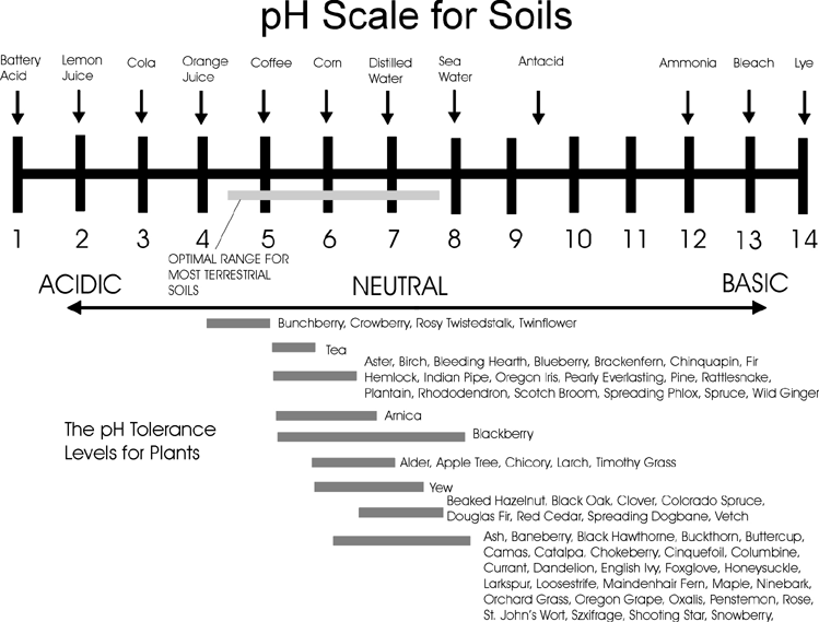 Soil Ph Chart For Fruit Trees